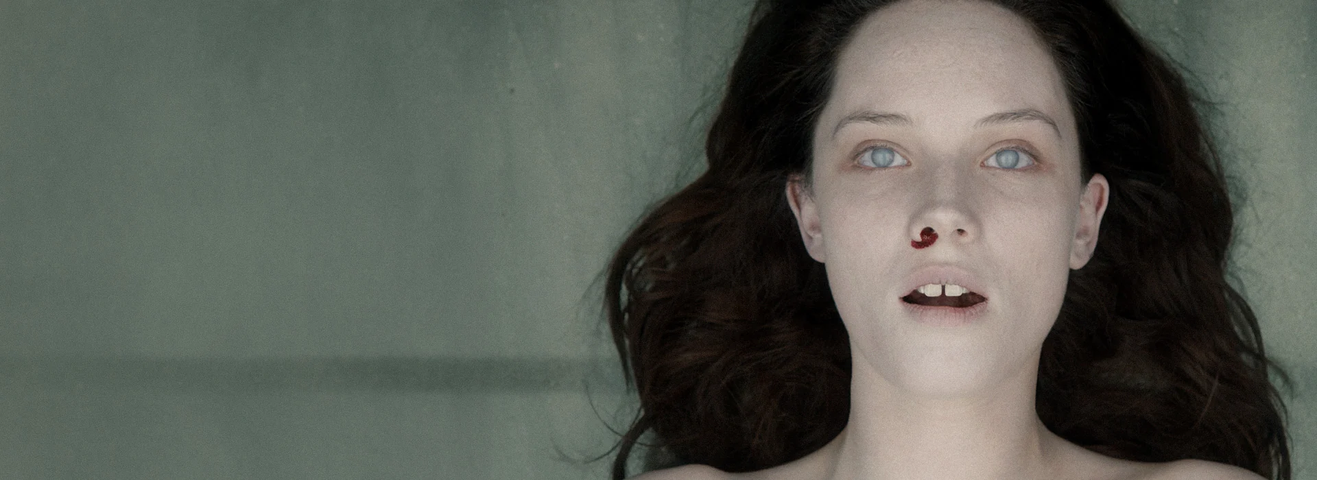 Provocative Cinema for True Collectors